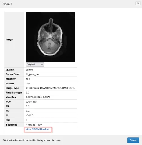 View DICOM headers